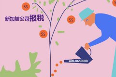 新加坡公司報(bào)稅